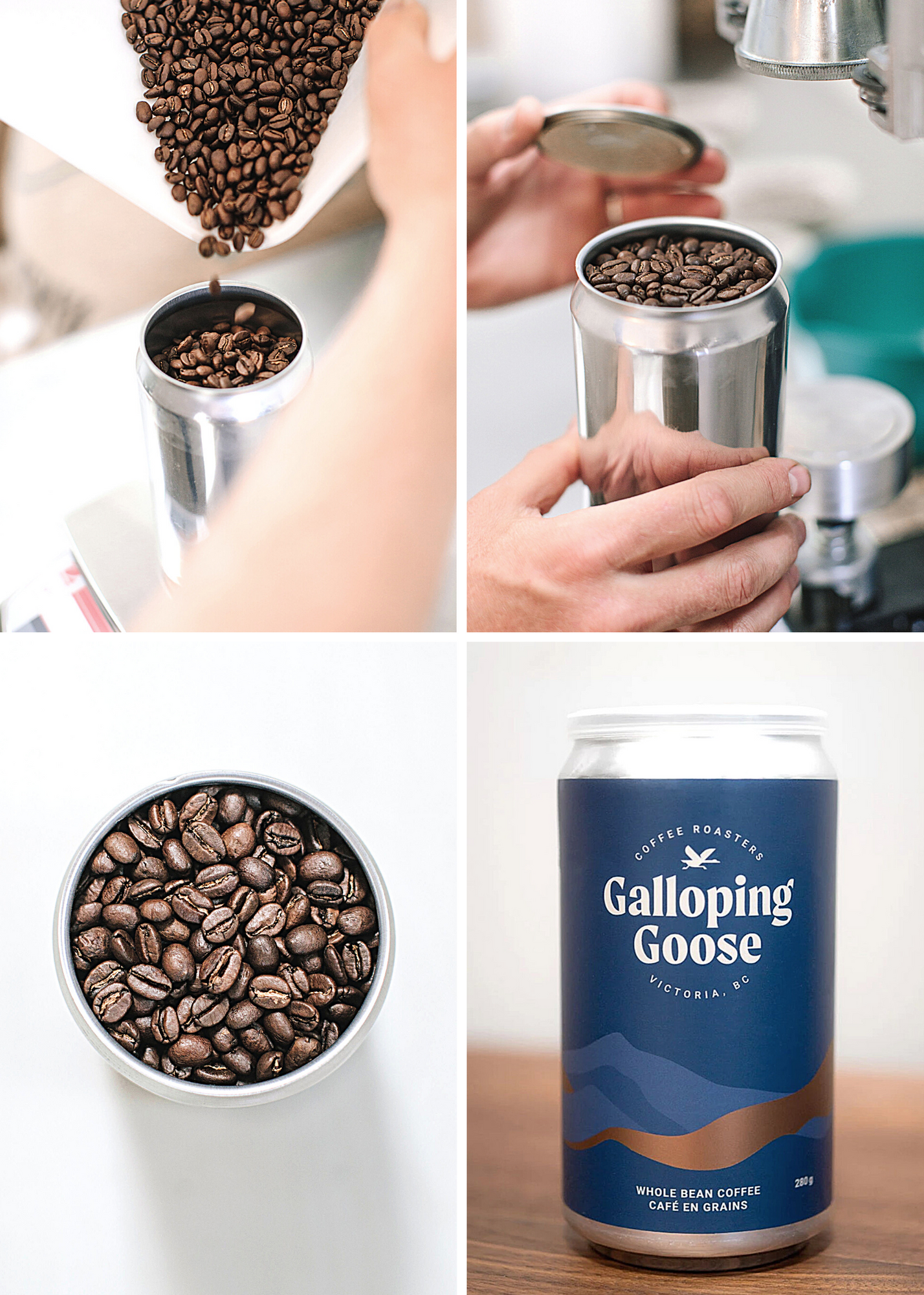 Four images in a grid displaying the process of adding coffee beans to the aluminum can packaging.