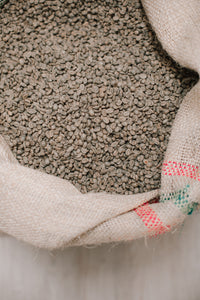 A jute coffee bag full of unroasted green coffee beans